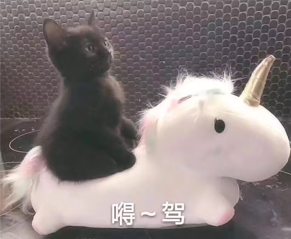 槿篱博客 | 追求简约而不失深度的分享