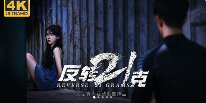 反转21克 全DLC 暗夜幽影+迷雾中的真相+命运红线 免登录 - 槿篱博客