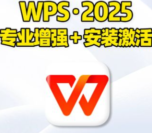 wps office 2025专业增强版